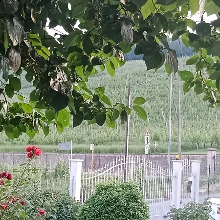 Al Civico 20 Casa Vacanze Appartamento Panorama * Barolo
